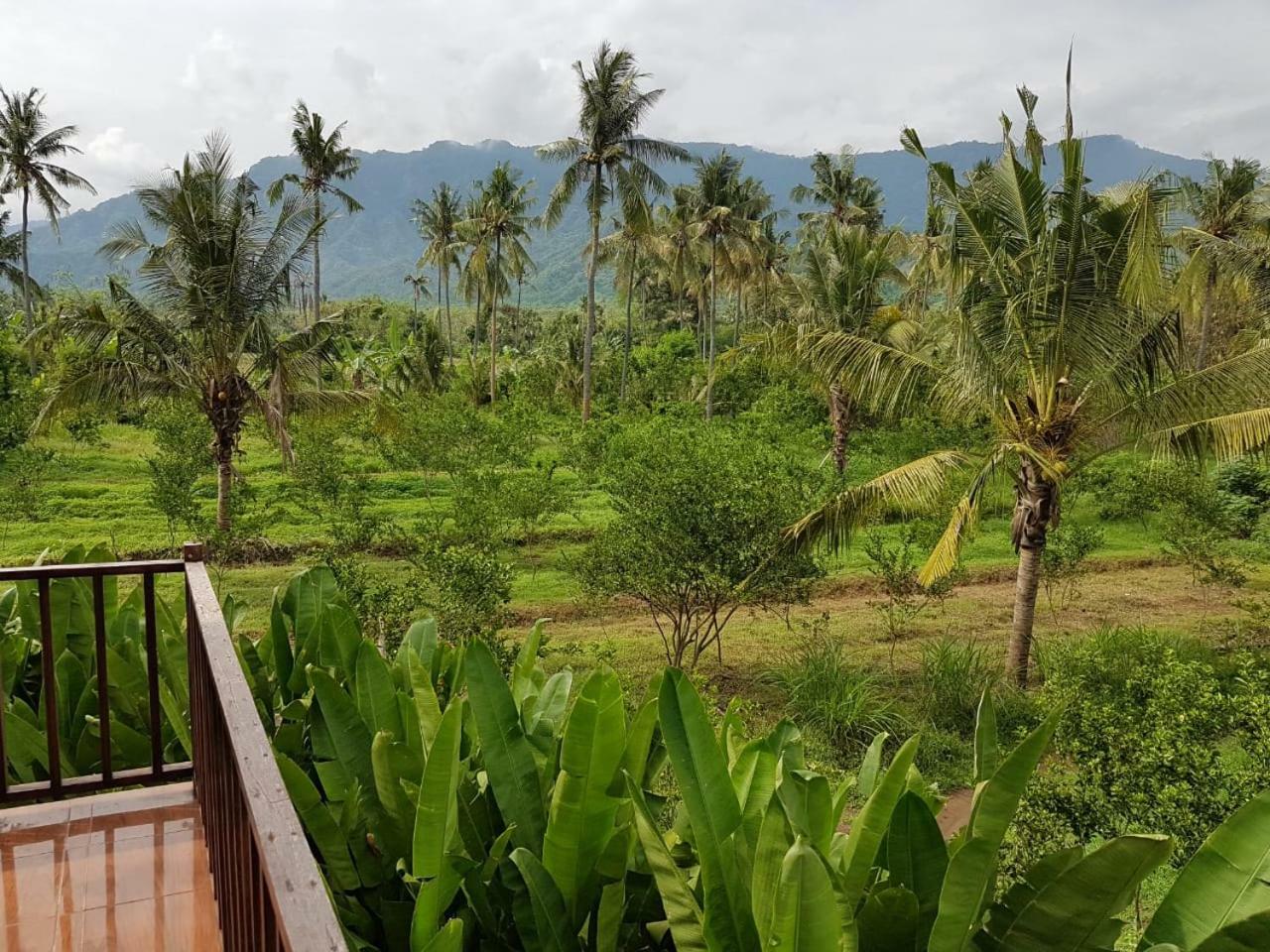 Buana Ecofarm Ecolodge Grokgak Esterno foto