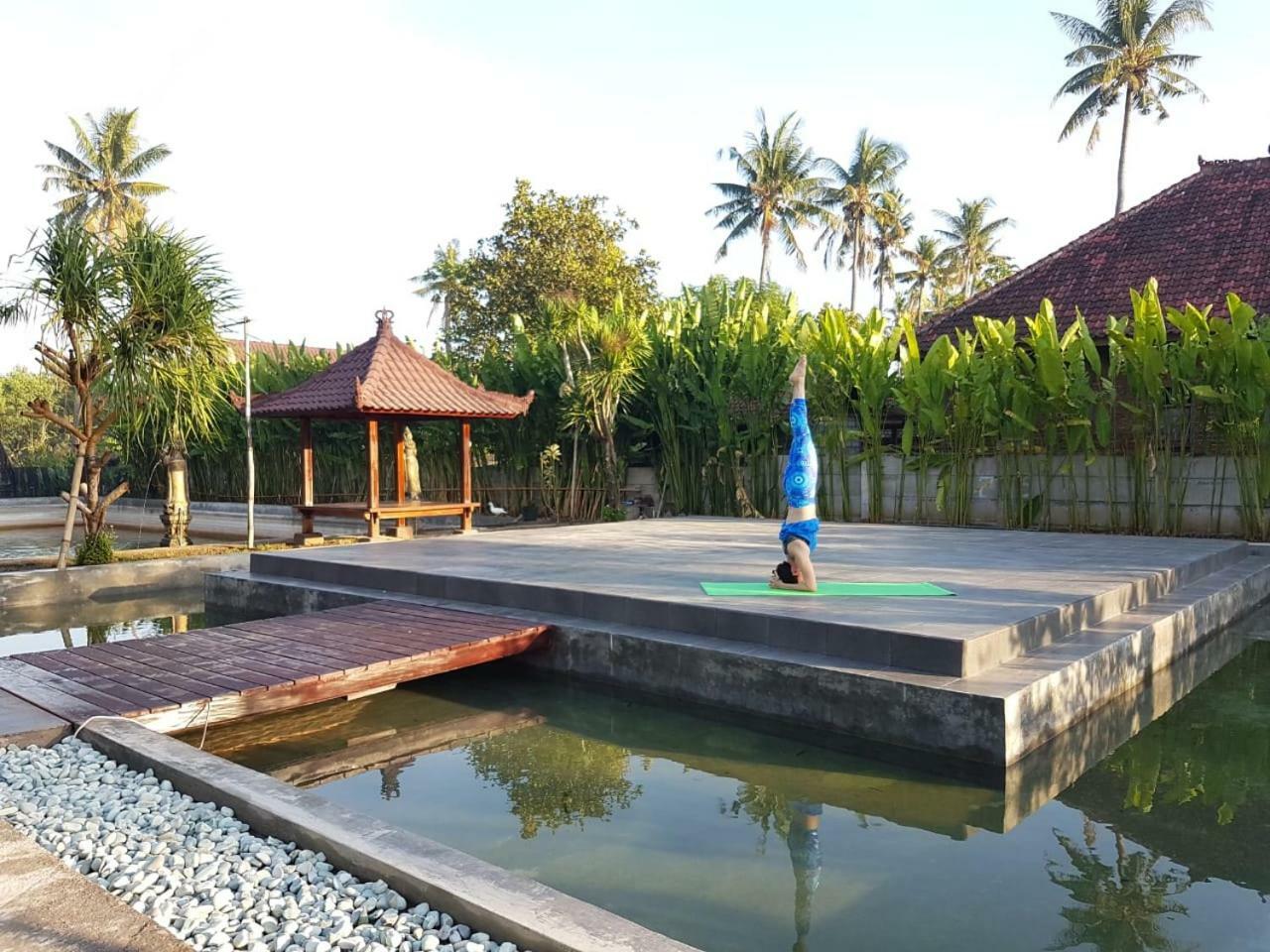 Buana Ecofarm Ecolodge Grokgak Esterno foto